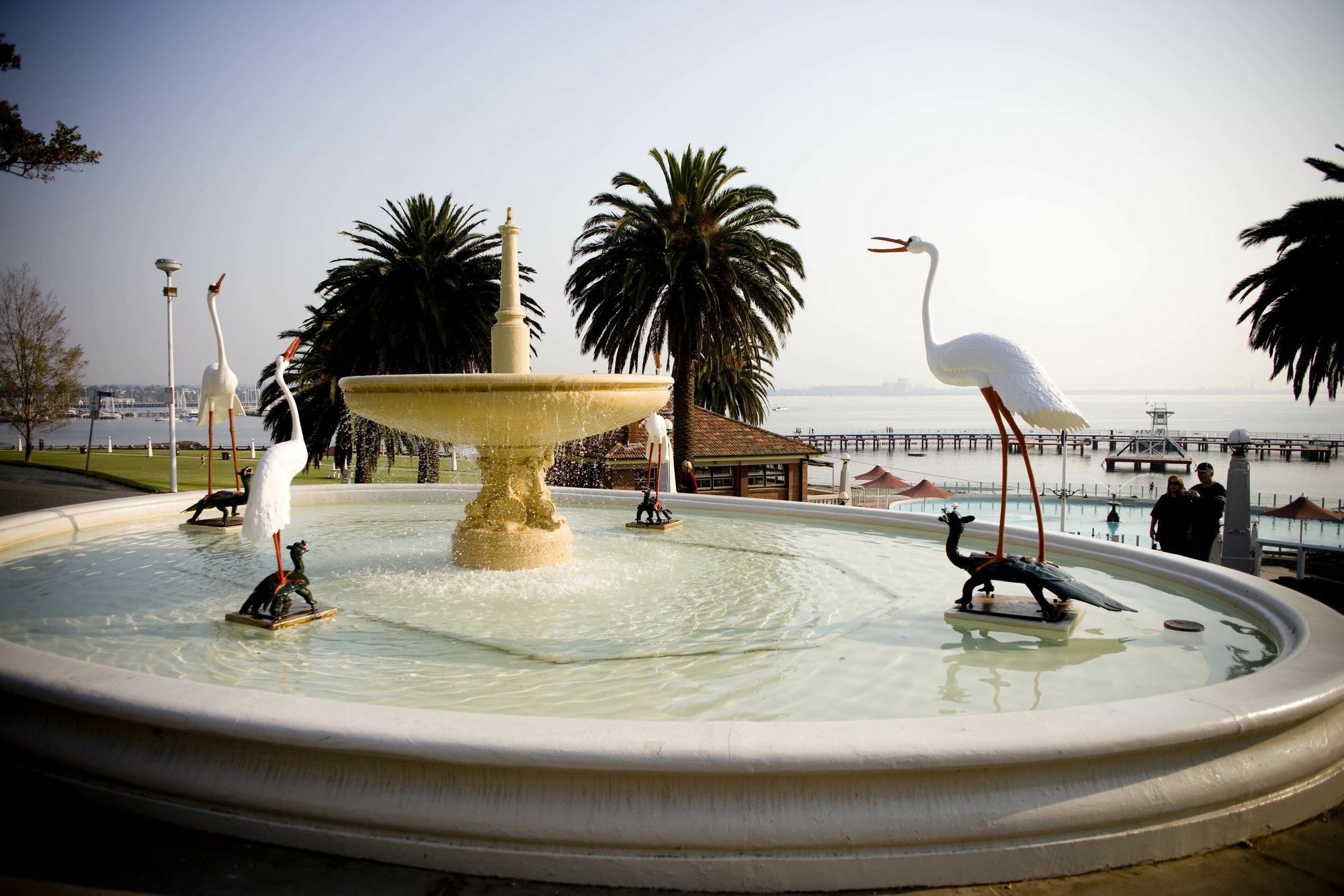 Rydges Geelong Hotel Ngoại thất bức ảnh
